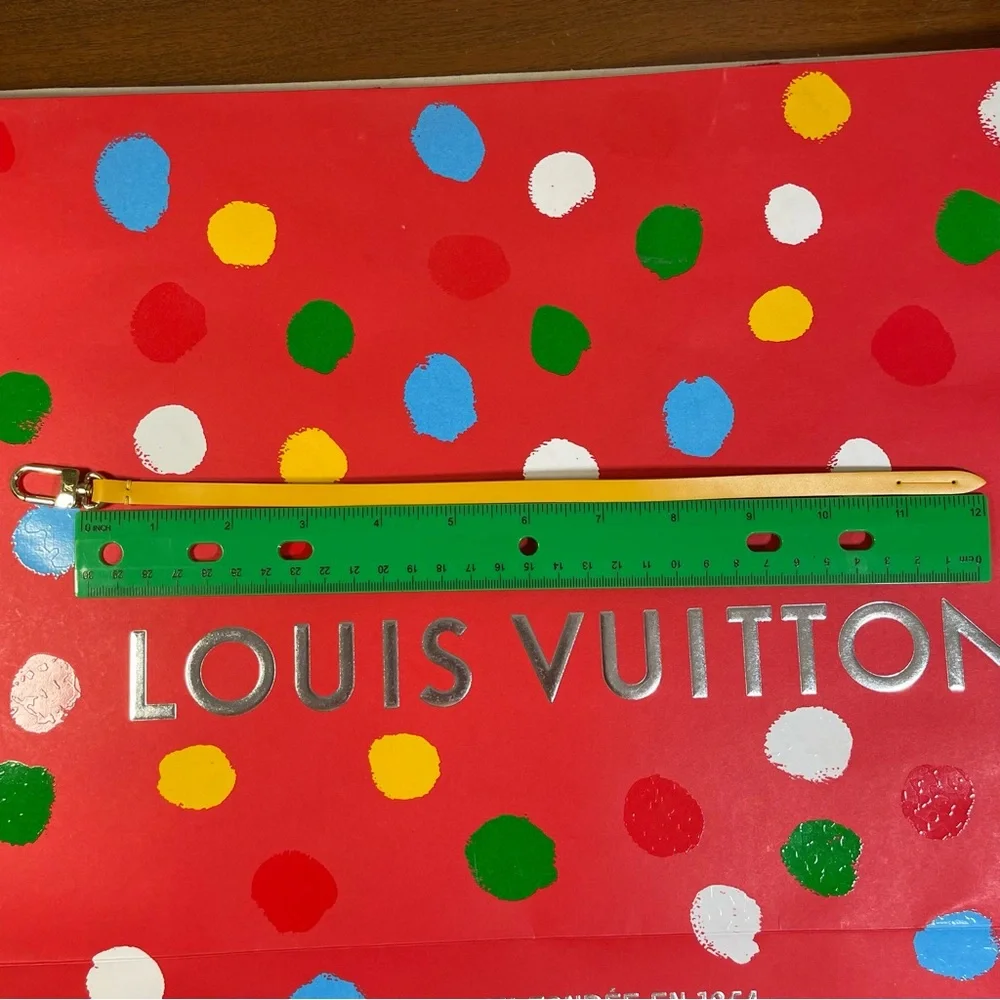 Louis Vuitton Pochette 12